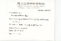 鱧腸藏品圖，第2張