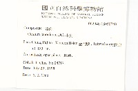 小薊藏品圖，第2張