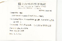 狗娃花藏品圖，第2張