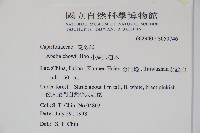 臺灣糯米條藏品圖，第2張