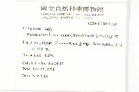 小白花鬼針藏品圖，第2張