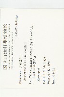 小毛氈苔藏品圖，第2張