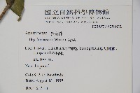 糊樗藏品圖，第2張