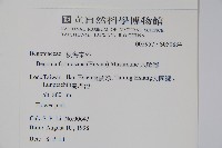 水鴨腳藏品圖，第2張