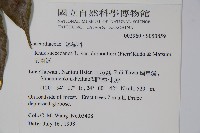 安南漆藏品圖，第2張