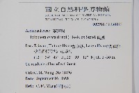 鷗蔓藏品圖，第2張