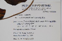 爬森藤藏品圖，第2張