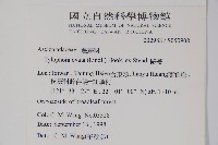 鷗蔓藏品圖，第2張