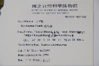 鐵冬青藏品圖，第2張