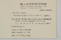 日本賽衛矛、日本假衛矛藏品圖，第2張