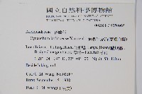 蘭嶼牛皮消、蘭嶼白薇藏品圖，第2張