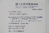 草野氏冬青藏品圖，第2張