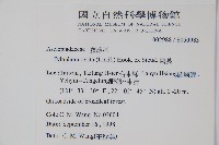 鷗蔓藏品圖，第2張