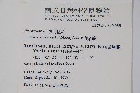 爬森藤藏品圖，第2張