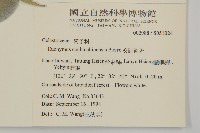 交趾衛矛藏品圖，第2張