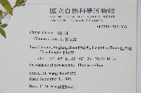 向天黃藏品圖，第2張