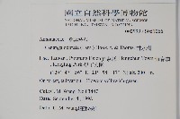 香水樹藏品圖，第2張