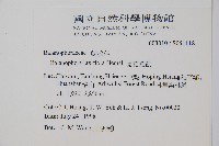 穗花蛇菰藏品圖，第2張