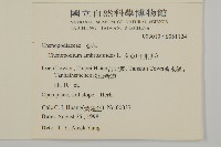 臭杏、土荊芥藏品圖，第2張