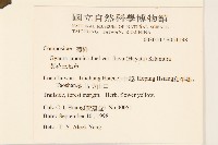 黃花三七草藏品圖，第2張