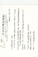 青牛膽藏品圖，第2張