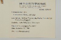 藜、灰藜藏品圖，第2張