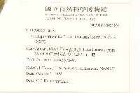 一枝黃花藏品圖，第2張