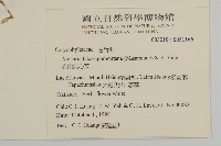 高山無心菜藏品圖，第2張