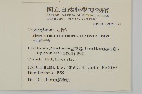 玉山蠅子草藏品圖，第2張