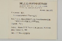 山艾藏品圖，第2張