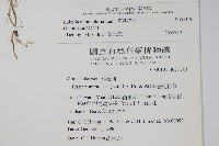 普刺特草藏品圖，第2張