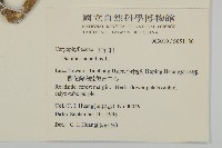 瞿麥藏品圖，第2張