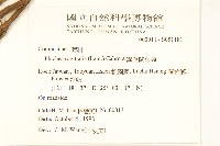 翼莖闊苞菊藏品圖，第2張