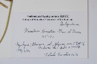 假防己藏品圖，第2張