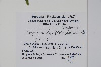 登錄號:S051208藏品圖，第2張