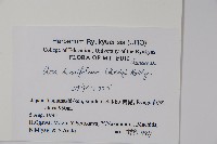 登錄號:S051209藏品圖，第2張