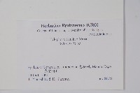 登錄號:S051217藏品圖，第2張