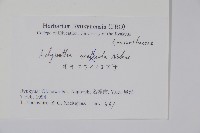 登錄號:S051218藏品圖，第2張