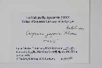 登錄號:S051249藏品圖，第2張