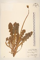 登錄號:S051269藏品圖，第1張