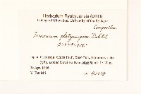 登錄號:S051269藏品圖，第2張