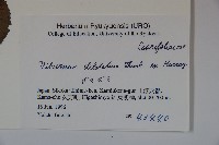 莢迷藏品圖，第2張