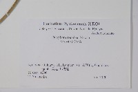 登錄號:S051288藏品圖，第2張