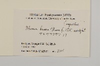 生毛將軍藏品圖，第2張