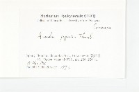 東瀛珊瑚藏品圖，第2張