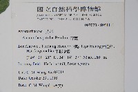 青莧藏品圖，第2張