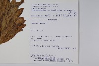 登錄號:S051426藏品圖，第2張