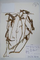 登錄號:S051433藏品圖，第1張