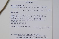 登錄號:S051433藏品圖，第2張