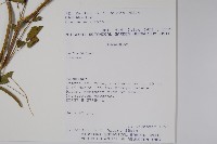 登錄號:S051435藏品圖，第2張